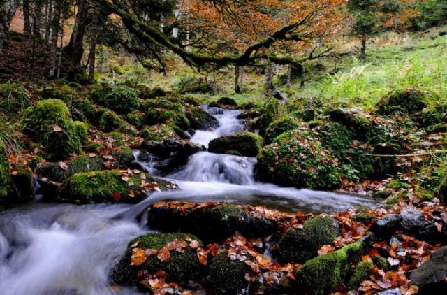 Barranc de Serracorba